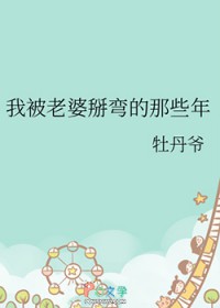 我被老婆掰弯的那些年