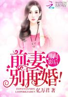 绯闻影后：前妻，别再婚